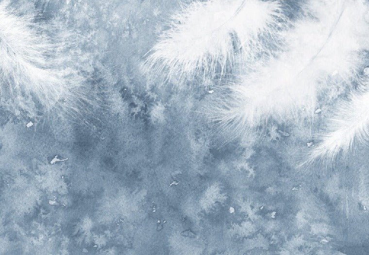 Plume Blanche wallpaper