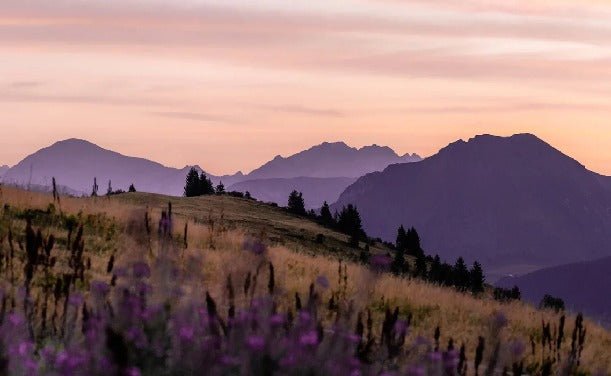 Wallpaper in the Massif du Giffre restaurant