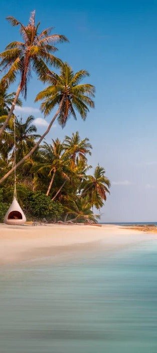 Panoramic coconut beach wallpaper