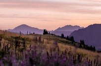 Wallpaper restaurant massif du Giffre