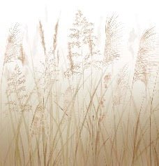 Wheat field flower wallpaper