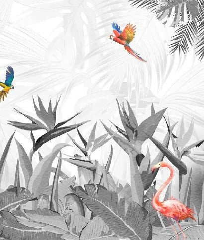 Black and white bird of paradise wallpaper