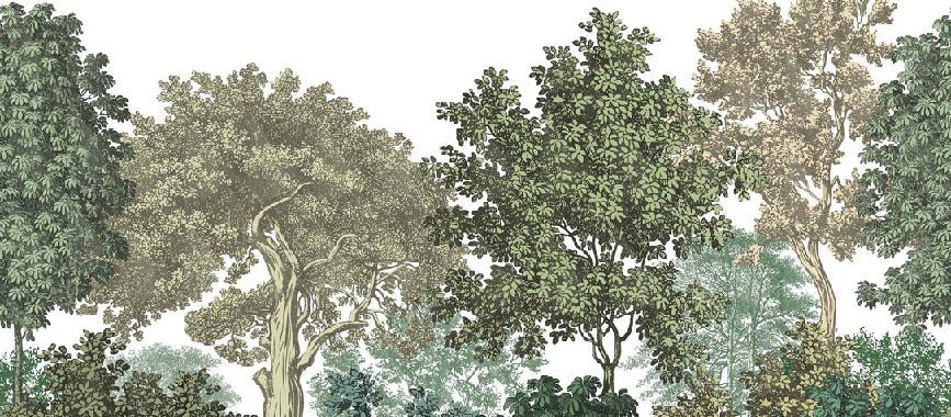 Wallpaper restaurant landscape forest engraving