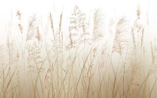 Wheat field flower wallpaper