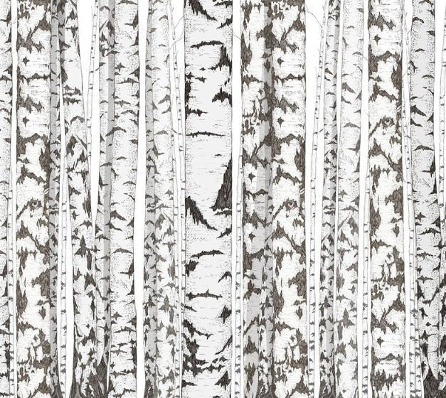 Black and white birch wallpaper