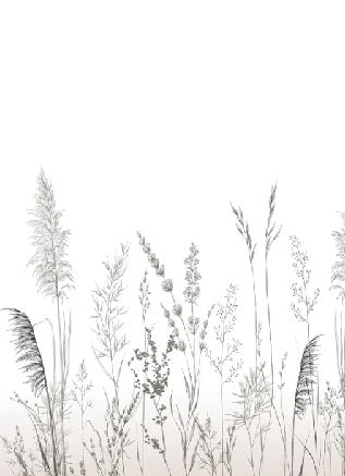 Poetic pampa wallpaper