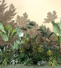 Jungle indonésia wallpaper