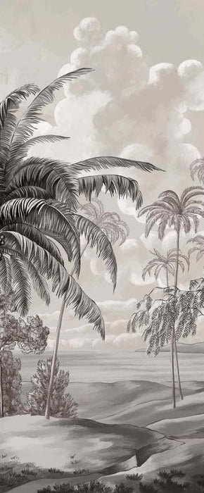 Black and white Sulawesi landscape wallpaper