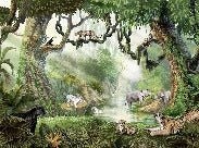 Children's wallpaper secret jungle