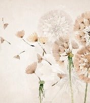 Dandelion flower wallpaper