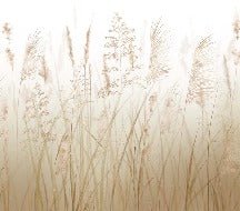 Wheat field flower wallpaper