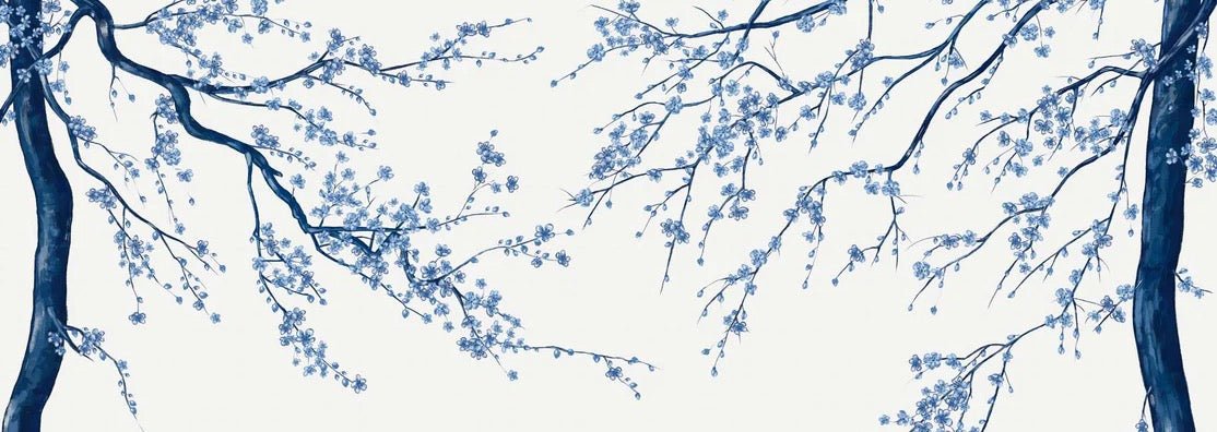 Sakura white panoramic flower wallpaper