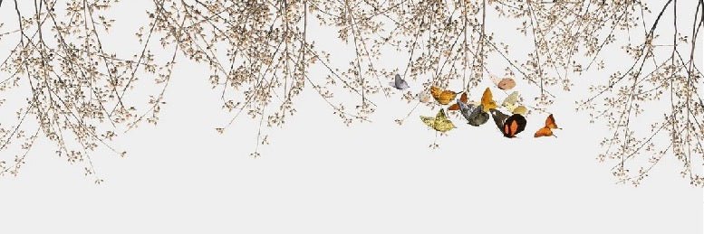 Branch & butterfly living room wallpaper