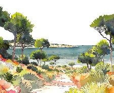 Panoramic summer air wallpaper