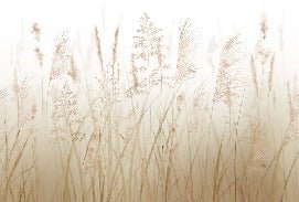 Wheat field flower wallpaper