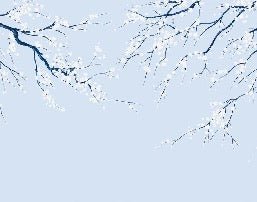 Sakura flower panoramic wallpaper