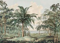 Sulawesi landscape wallpaper