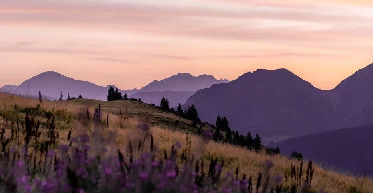 Wallpaper restaurant massif du Giffre