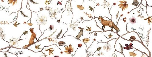 Children's forest adventure wallpaper