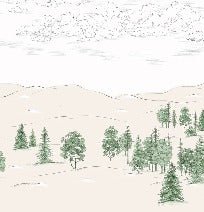 Cimes sketch wallpaper green