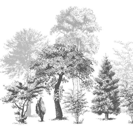 Nature bathroom wallpaper in black and white