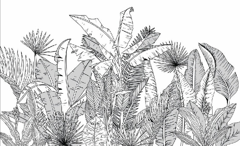 Panoramic black and white botanic leaf wallpaper