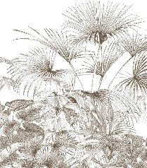 Monochrome engraving tropical wallpaper