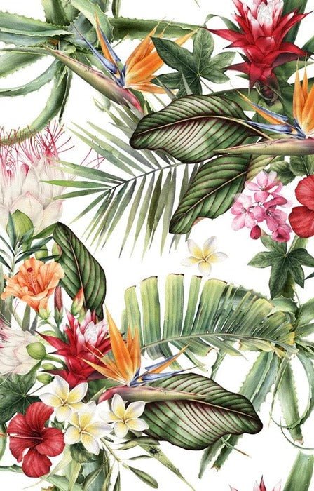 Tropical wallpaper & Colorful flowers