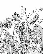 Black and white botanic leaf bathroom wallpaper