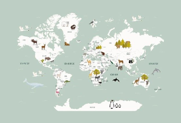 Children's French world map wallpaper green