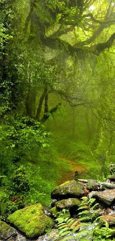 Cascade & Forest wallpaper