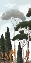 Custom wallpaper cypress pine and pampas grass