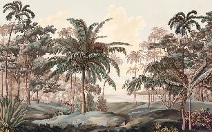 Landscape wallpaper Celebes terra