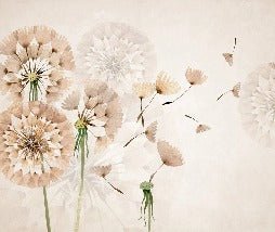 Dandelion flower wallpaper