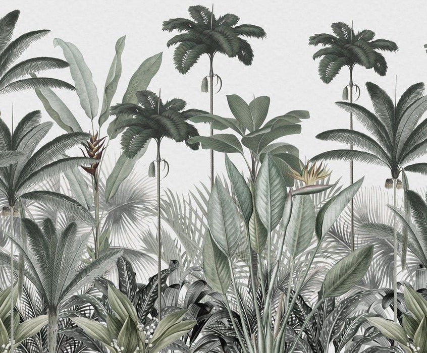 Panoramic jungle tree wallpaper