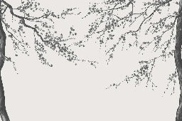 Sakura black and white panoramic flower wallpaper