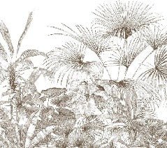 Monochrome engraving tropical wallpaper