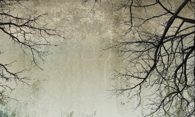 Papier peint Forêt Enchantée, XXL, tendance