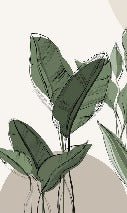 Graphic plant panorama wallpaper taupe