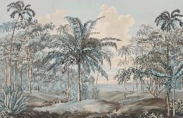 Blue Sulawesi landscape wallpaper