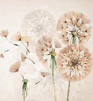 Dandelion flower wallpaper