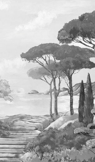 Black and white wallpaper featuring a stroll through the calanques