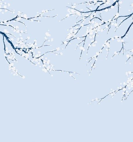 Sakura flower panoramic wallpaper