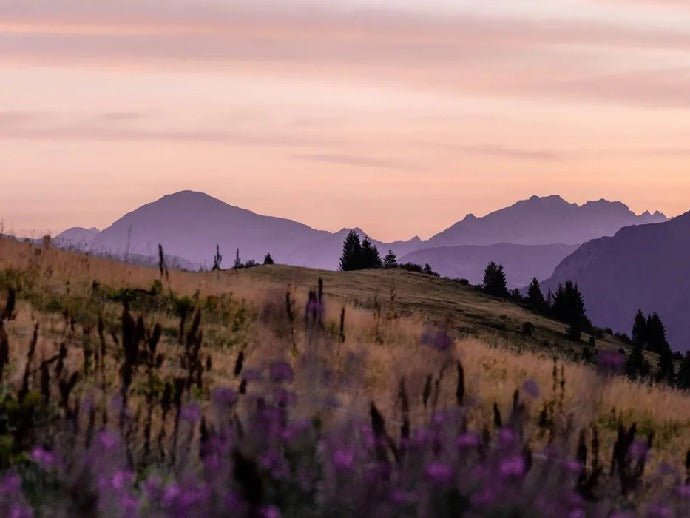 Wallpaper restaurant massif du Giffre