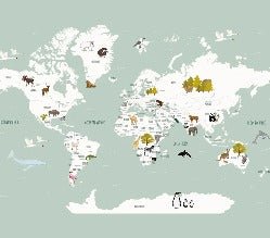 Children's French world map wallpaper green