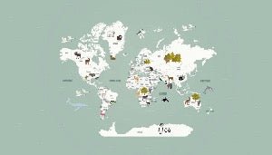 Children's French world map wallpaper green