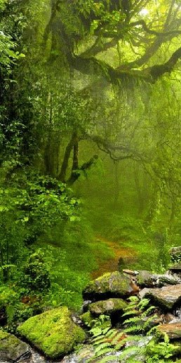 Cascade & Forest wallpaper