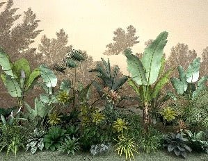 Jungle indonésia wallpaper