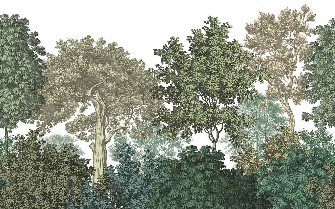 Forest landscape engraving wallpaper