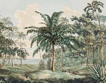 Sulawesi landscape wallpaper